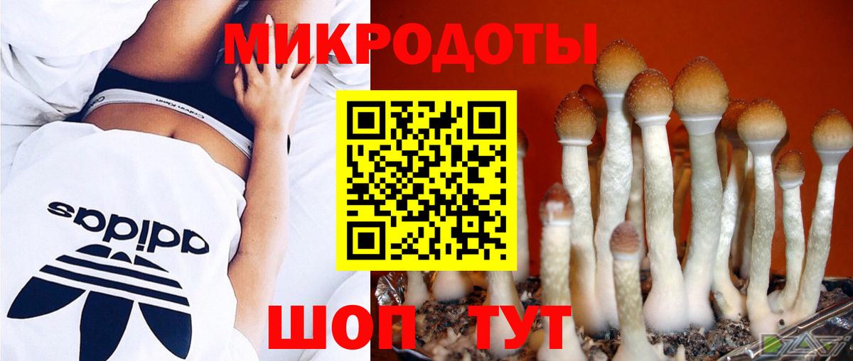 Псилоцибиновые грибы мицелий Златоуст